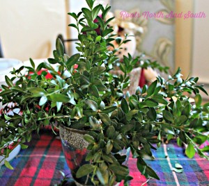 Building a Boxwood Tree Centerpiece