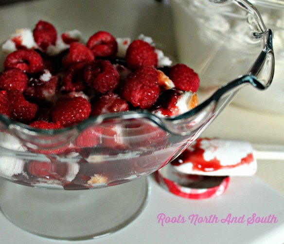 Chocolate Raspberry Party Trifle
