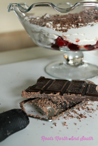 Chocolate Raspberry Trifle