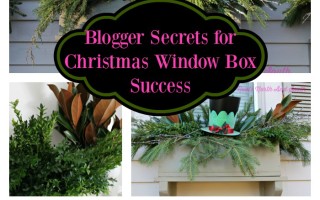Gardener’s Best Secrets for Creating Christmas Window Boxes