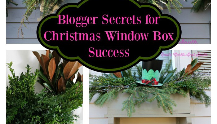 Gardener’s Best Secrets for Creating Christmas Window Boxes