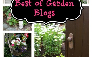 Virtual Garden Tour of the Best Garden Blogs on the Web