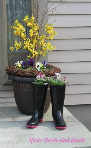 A Boot Full of Pansies