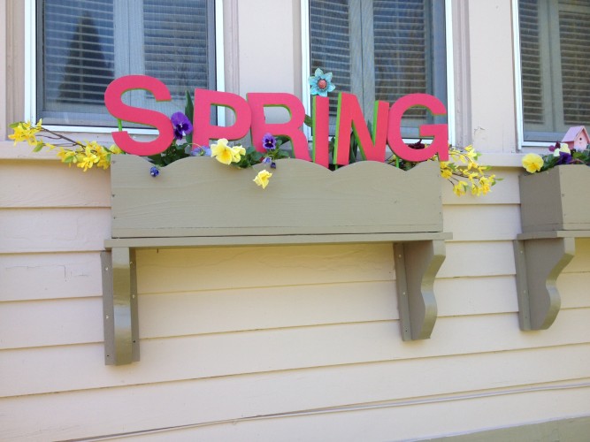 Decorating spring window boxes