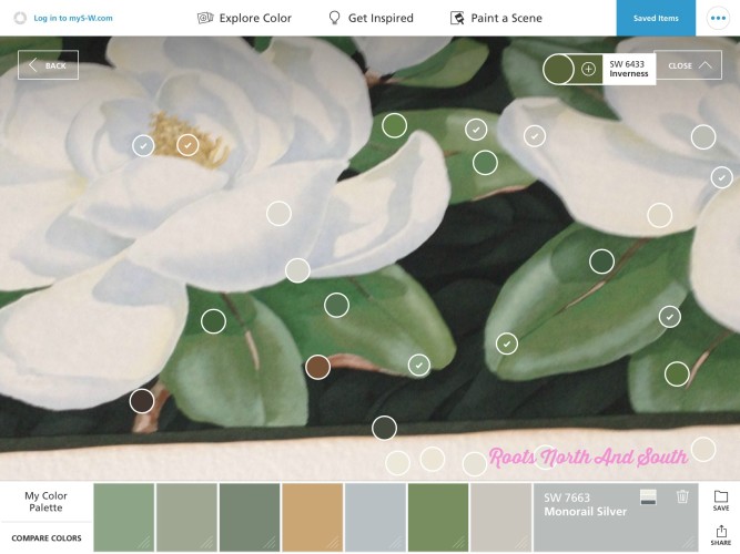 Matching paint colors with an app