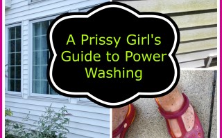 A Prissy Girl’s Guide to Power Washing