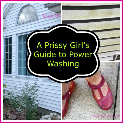 Power Washing Tips for Prissy Girls