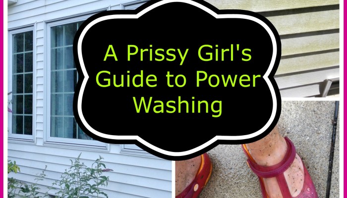 A Prissy Girl’s Guide to Power Washing