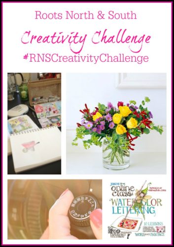 RNS Creativity Challenge