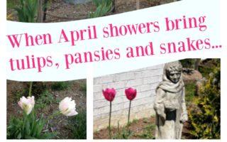 April Showers Bring May Flowers, Weeds & Snakes!