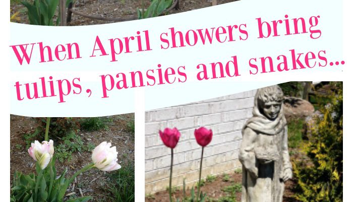 April Showers Bring May Flowers, Weeds & Snakes!