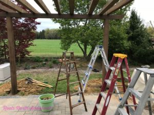 Building a New Pergola